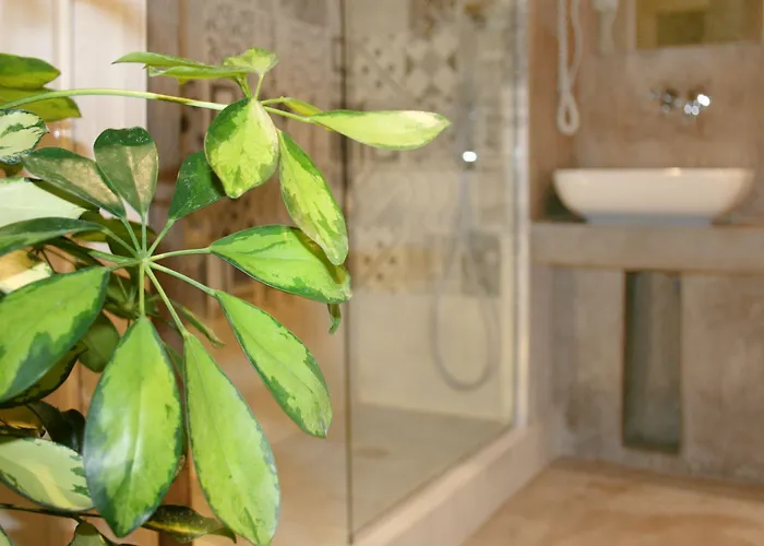 Joss 4* لا سبيتسْيا